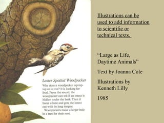 Illustrations can be used to add information to scientific or technical texts.  “ Large as Life, Daytime Animals”  Text by Joanna Cole Illustrations by Kenneth Lilly 1985 