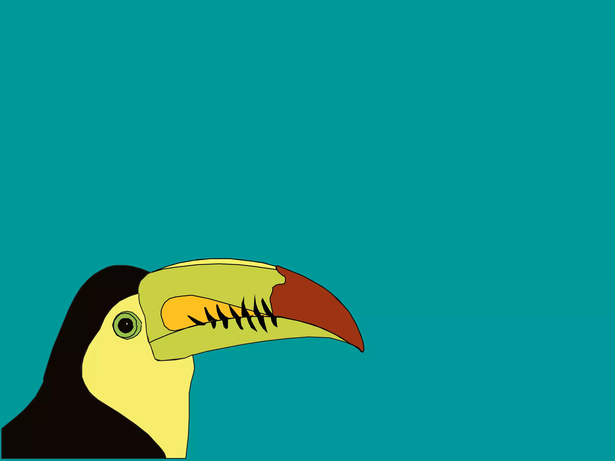 Intro to Adobe Illustrator Vector Concepts