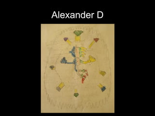 Alexander D 