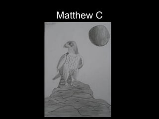Matthew C 