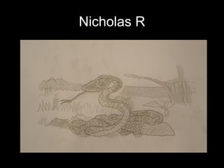 Nicholas R 