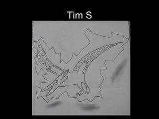 Tim S 