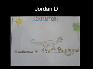 Jordan D 