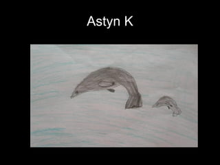 Astyn K 