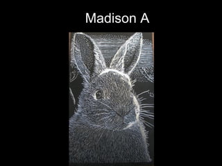 Madison A 
