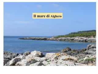 Il mare di  Alghero 
