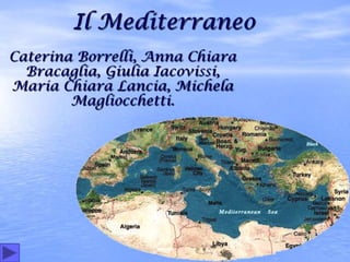 Il Mediterraneo
Caterina Borrelli, Anna Chiara
  Bracaglia, Giulia Iacovissi,
Maria Chiara Lancia, Michela
        Magliocchetti.
 