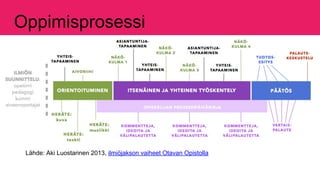 Oppimisprosessi
Lähde: Aki Luostarinen 2013, ilmiöjakson vaiheet Otavan Opistolla
 
