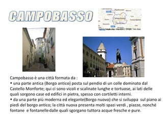 Campobasso è una città formata da :
• una parte antica (Borgo antico) posta sul pendio di un colle dominato dal
Castello Monforte; qui ci sono vicoli e scalinate lunghe e tortuose, ai lati delle
quali sorgono case ed edifici in pietra, spesso con cortiletti interni.
• da una parte più moderna ed elegante(Borgo nuovo) che si sviluppa sul piano ai
piedi del borgo antico; la città nuova presenta molti spazi verdi , piazze, nonché
fontane e fontanelle dalle quali sgorgano tuttora acque fresche e pure.
 