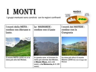 I MONTI
I gruppi montuosi sono condivisi con le regioni confinanti



I monti della META :          Le MAINARDE :                   I monti del MATESE :
confine con Abruzzo e         confine con il Lazio            confine con la
Lazio.                                                        Campania




Il monte META (2242 m) è la   In questa area si trovano le    La cima più alta è il monte
cima pìù alta del Molise.     vette più elevate del Molise,   Miletto (2050 m) con il Lago del
                              il Monte Mare, di 2.124         Matese
                              metri, e la Metuccia,di 2.105
                              metri,
 