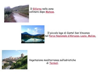 Il Biferno nella zona
collinare dopo Matese.




               Il piccolo lago di Castel San Vincenzo
             nel Parco Nazionale d’Abruzzo, Lazio, Molise.




Vegetazione mediterranea sull’adriatiche
              di Termoli.
 
