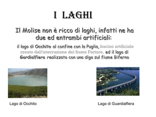 I LaghI
   Il Molise non è ricco di laghi, infatti ne ha
          due ed entrambi artificiali:
    il lago di Occhito al confine con la Puglia, bacino artificiale
       creato dall'interruzione del fiume Fortore, ed il lago di
      Gardialfiera realizzato con una diga sul fiume Biferno




Lago di Occhito                                Lago di Guardialfiera
 