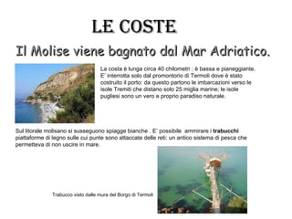 Le cOsTe
Il Molise viene bagnato dal Mar Adriatico.
                                    La costa è lunga circa 40 chilometri : è bassa e pianeggiante.
                                    E’ interrotta solo dal promontorio di Termoli dove è stato
                                    costruito il porto: da questo partono le imbarcazioni verso le
                                    isole Tremiti che distano solo 25 miglia marine; le isole
                                    pugliesi sono un vero e proprio paradiso naturale.




Sul litorale molisano si susseguono spiagge bianche . E’ possibile ammirare i trabucchi
piattaforme di legno sulle cui punte sono attaccate delle reti: un antico sistema di pesca che
permetteva di non uscire in mare.




              Trabucco visto dalle mura del Borgo di Termoli
 