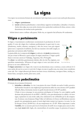 11
La vigna
Una vigna è un ecosistema formato da vari elementi. I più importanti, su cui ci sono anche più discussioni,
sono:
1.   vitigno e portainnesto
2.   terroir (ambiente pedoclimatico e microclima): rapporto tra latitudine e altitudine e il terreno.
Anche detto cru, una zona molto ristretta dove particolari condizioni di clima, terreno e altro
determinano dei risultati molto particolari.
Infiniti fattori vanno a influire sulla pianta. Nella vita, un vignaiolo farà all’incirca 40 vendemmie.
Vitigno e portainnesto
Il vitigno e il portainnesto condizionano enormemente la produzione di vini di
qualità. Ci sono dei vitigni che si adattano perfettamente in quasi tutte le zone
(chardonnay, merlot, cabernet, sauvignon) e altri che invece sono più esigenti
(pinot nero e soprattutto il nebbiolo, che dà il suo massimo solo nelle Langhe, in
particolare nel territorio della Valtellina).
La pianta della vite è composta dal vitigno (o cultivar) e dal piede (portainnesto),
che per evitare la fillossera è quasi sempre di origine americana. I vitigni a piede
franco si trovano ancora in Valdadige, Argentina, Cile e Portogallo.
Un clone è un individuo geneticamente identico alla vite che l’ha originato, con
specifiche caratteristiche. All’interno di ogni vitigno ci sono vari cloni: nel san-
giovese ce ne sono addirittura 90.
Il vitigno autoctono è un vitigno che è nato in una determinata zona e continua a essere coltivato lì. Ci
sono anche dei casi in cu non si è certi che il vitigno sia nato in quella zona, ma ormai viene considerato
come tale. Tra i vitigni alloctoni più famosi troviamo invece chardonnay, sauvignon blanc, riesling, ca-
bernet franc, sauvignon, merlot, pinot nero, syrah.
Ambiente pedoclimatico
È formato da un insieme di elementi:
1.   latitudine e altitudine. La vite è una pianta che teme il freddo ma anche il caldo eccessivo.
Nell’emisfero boreale le zone migliori per la produzione della vite sono intorno al 45° parallelo
(Mosello, Reno, Germania) mentre in quello boreale intorno al 30-40° parallelo.
L’Italia si trova comunque in una posizione privilegiata in Europa. Le zone migliori, quelle
destinate alla produzione di vini DOC o DOCG, sono prevalentemente in collina o in mon-
tagna, soprattutto in zone molto calde, dove altrimenti la vite soffrirebbe per le alte tempera-
ture. In alcune zone di pianura (Napa Valley in California e le Graves nel Bordolese) nascono
grandi vini, principalmente grazie al ruolo degli sbalzi termici tra il giorno e la notte. La vite
ha bisogno di luce (20.000 lux) e di una temperatura tra i 25-28°. Molto importante è anche
l’umidità, che se eccessiva provoca la formazione di muffe ma se troppo poca causa la chiu-
sura degli stomi delle foglie, che smetterebbero di assorbire acqua. La presenza di acqua è
 