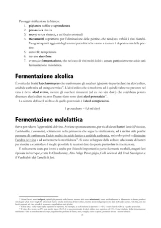 21
Passaggi vinificazione in bianco:
1.   pigiatura soffice e sgrondatura
2.   pressatura diretta
3.   mosto senza vinacce, a cui faccio eventuali
4.   trattamenti soprattutto per l’eliminazione delle pectine, che rendono torbidi i vini bianchi.
Vengono quindi aggiunti degli enzimi pectolitici che vanno a causare il deperimento delle pec-
tine.
5.   controllo temperatura
6.   travaso vino fiore
7.   eventuale fermentazione, che nel caso di vini molti dolci o annate particolarmente acide sarà
fermentazione malolattica.
Fermentazione alcolica
È svolta dai lieviti Saccharomyces che trasformano gli zuccheri (glucosio in particolare) in alcol etilico,
anidride carbonica ed energia termica10
. L’alcol etilico che si trasforma ed è quindi realmente presente nel
vino è detto alcol svolto, mentre gli zuccheri rimanenti (ad es. nei vini dolci) che avrebbero potuto
diventare alcol etilico ma non l’hanno fatto sono detti alcol potenziale11
.
La somma dell’alcol svolto e di quello potenziale è l’alcol complessivo.
1 gr zucchero = 0,6 ml alcol
Fermentazione malolattica
Serve per ridurre l’aggressività del vino. Avviene spontaneamente, per via di alcuni batteri lattici (Peioccocus,
Lactobacillus, Leuconostoc), solitamente nella primavera che segue la vinificazione, ed è molto utile perché
permette di trasformare l’acido malico in acido lattico e anidride carbonica, andando quindi a diminuire
l’acidità del vino e ad aumentarne la morbidezza12
. Si sono sviluppate delle colture selezionate di batteri
per riuscire a controllare il meglio possibile le reazioni date da questa particolare fermentazione.
È solitamente usata per i rossi e anche per i bianchi importanti o particolarmente morbidi, magari fatti
riposare in barrique, come lo Chardonnay, Alto Adige Pinot grigio, Colli orientali del Friuli Sauvignon e
il Verdicchio dei Castelli di Jesi.
10 Alcuni lieviti sono indigeni, quindi già presenti sulla buccia, mentre altri sono selezionati, creati artificialmente in laboratorio e danno prodotti
omologati. Quali sono meglio? I selezionati hanno un’alta resistenza all’alcol etilico, mentre alcuni indigeni possono dare dell’acido acetico. Alla fine, uno dei
lieviti presenti nel vino prende il possesso e cannibalizza tutti gli altri.
11 Valore che a volte viene anche espresso in etichetta. Ad esempio, se sull’etichetta è riportato 11+3%, 11 sarà l’alcol svolto e 3 quello potenziale.
12 Il vino deve avere un PH non molto basso (3.2-3.4) e una percentuale di alcol etilico non superiore al 15%. Come risultato della fermentazione
malolattica i vini si arricchiscono di corpo, acquisiscono profumi di burro, noci, vaniglia, cuoio e spezie, perdendo invece i sentori erbacei.
 
