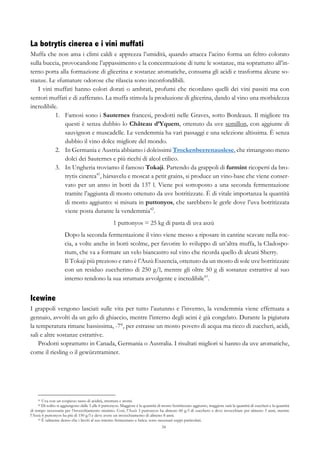 34
La botrytis cinerea e i vini muffati
Muffa che non ama i climi caldi e apprezza l’umidità, quando attacca l’acino forma un feltro colorato
sulla buccia, provocandone l’appassimento e la concentrazione di tutte le sostanze, ma soprattutto all’in-
terno porta alla formazione di glicerina e sostanze aromatiche, consuma gli acidi e trasforma alcune so-
stanze. Le sfumature odorose che rilascia sono inconfondibili.
I vini muffati hanno colori dorati o ambrati, profumi che ricordano quelli dei vini passiti ma con
sentori muffati e di zafferano. La muffa stimola la produzione di glicerina, dando al vino una morbidezza
incredibile.
1.   Famosi sono i Sauternes francesi, prodotti nelle Graves, sotto Bordeaux. Il migliore tra
questi è senza dubbio lo Château d’Yquem, ottenuto da uve semillon, con aggiunte di
sauvignon e muscadelle. Le vendemmia ha vari passaggi e una selezione altissima. È senza
dubbio il vino dolce migliore del mondo.
2.   In Germania e Austria abbiamo i dolcissimi Trockenbeerenauslese, che rimangono meno
dolci dei Sauternes e più ricchi di alcol etilico.
3.   In Ungheria troviamo il famoso Tokaji. Partendo da grappoli di furmint ricoperti da bro-
trytis cinerea41
, hársavelu e moscat a petit grains, si produce un vino-base che viene conser-
vato per un anno in botti da 137 l. Viene poi sottoposto a una seconda fermentazione
tramite l’aggiunta di mosto ottenuto da uve botritizzate. È di vitale importanza la quantità
di mosto aggiunto: si misura in puttonyos, che sarebbero le gerle dove l’uva botritizzata
viene posta durante la vendemmia42
.
1 puttonyos = 25 kg di pasta di uva aszù
Dopo la seconda fermentazione il vino viene messo a riposare in cantine scavate nella roc-
cia, a volte anche in botti scolme, per favorire lo sviluppo di un’altra muffa, la Cladospo-
rium, che va a formare un velo biancastro sul vino che ricorda quello di alcuni Sherry.
Il Tokaji più prezioso e raro è l’Aszù Eszencia, ottenuto da un mosto di sole uve botritizzate
con un residuo zuccherino di 250 g/l, mentre gli oltre 50 g di sostanze estrattive al suo
interno rendono la sua struttura avvolgente e incredibile43
.
Icewine
I grappoli vengono lasciati sulle vita per tutto l’autunno e l’inverno, la vendemmia viene effettuata a
gennaio, avvolti da un gelo di ghiaccio, mentre l’interno degli acini è già congelato. Durante la pigiatura
la temperatura rimane bassissima, -7°, per estrasse un mosto povero di acqua ma ricco di zuccheri, acidi,
sali e altre sostanze estrattive.
Prodotti soprattutto in Canada, Germania o Australia. I risultati migliori si hanno da uve aromatiche,
come il riesling o il gewürztraminer.
41 Uva con un cospicuo tasso di acidità, struttura e aromi.
42 Di solito si aggiungono dalle 3 alle 6 puttonyos. Maggiore è la quantità di mosto botritizzato aggiunto, maggiore sarà la quantità di zuccheri e la quantità
di tempo necessaria per l’invecchiamento minimo. Così, l’Aszù 3 puttonyos ha almeno 60 g/l di zucchero e deve invecchiare per almeno 3 anni, mentre
l’Aszù 6 puttonyos ha più di 150 g/l e deve avere un invecchiamento di almeno 8 anni.
43 È talmente denso che i lieviti al suo interno fermentano a fatica: sono necessari ceppi particolari.
 