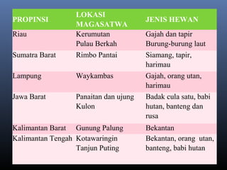PROPINSI
LOKASI
MAGASATWA
JENIS HEWAN
Riau Kerumutan
Pulau Berkah
Gajah dan tapir
Burung-burung laut
Sumatra Barat Rimbo Pantai Siamang, tapir,
harimau
Lampung Waykambas Gajah, orang utan,
harimau
Jawa Barat Panaitan dan ujung
Kulon
Badak cula satu, babi
hutan, banteng dan
rusa
Kalimantan Barat Gunung Palung Bekantan
Kalimantan Tengah Kotawaringin
Tanjun Puting
Bekantan, orang utan,
banteng, babi hutan
 
