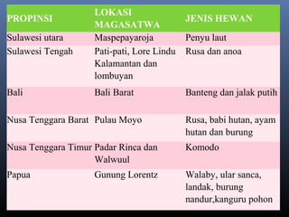 PROPINSI
LOKASI
MAGASATWA
JENIS HEWAN
Sulawesi utara Maspepayaroja Penyu laut
Sulawesi Tengah Pati-pati, Lore Lindu
Kalamantan dan
lombuyan
Rusa dan anoa
Bali Bali Barat Banteng dan jalak putih
Nusa Tenggara Barat Pulau Moyo Rusa, babi hutan, ayam
hutan dan burung
Nusa Tenggara Timur Padar Rinca dan
Walwuul
Komodo
Papua Gunung Lorentz Walaby, ular sanca,
landak, burung
nandur,kanguru pohon
 