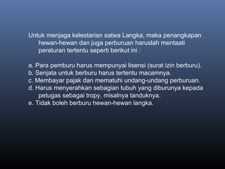 Untuk menjaga kelestarian satwa Langka, maka penangkapan
hewan-hewan dan juga perburuan haruslah mentaati
peraturan tertentu seperti berikut ini :
a. Para pemburu harus mempunyai lisensi (surat izin berburu).
b. Senjata untuk berburu harus tertentu macamnya.
c. Membayar pajak dan mematuhi undang-undang perburuan.
d. Harus menyerahkan sebagian tubuh yang diburunya kepada
petugas sebagai tropy, misalnya tanduknya.
e. Tidak boleh berburu hewan-hewan langka.
 