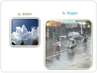 b. Hujana. awan
 