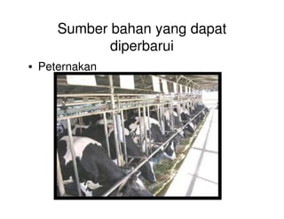 Sumber bahan yang dapat
diperbarui
• Peternakan
 