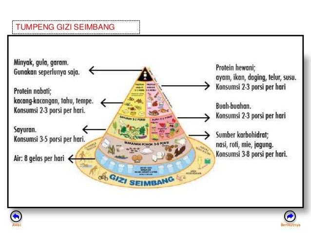 Kebutuhan tubuh akan berbagai zat makanan dan Gizi seimbang