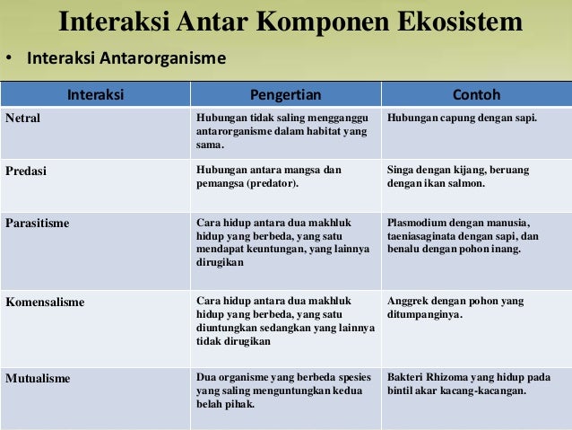 Contoh Ekosistem Biotik Dan Abiotik - Miharu Hime