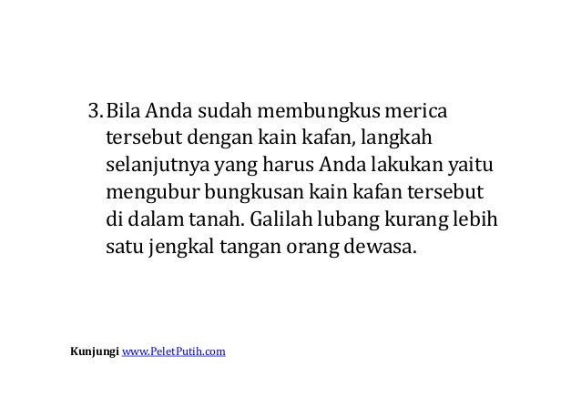 Ilmu pelet pelintir merica, Ilmu Pelet Penakluk Birahi Wanita