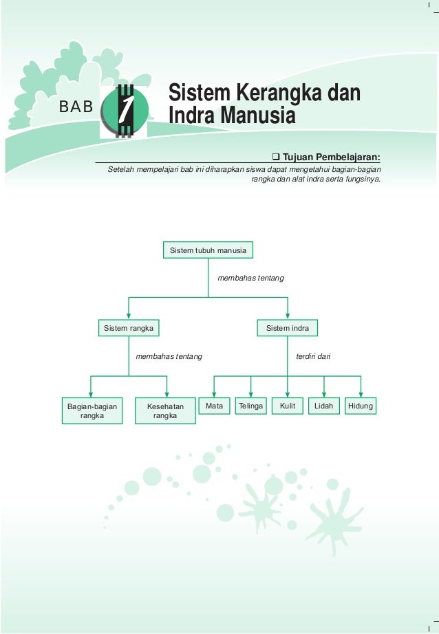 Hubungan Bunyi Dengan Indra Pendengar Sedang