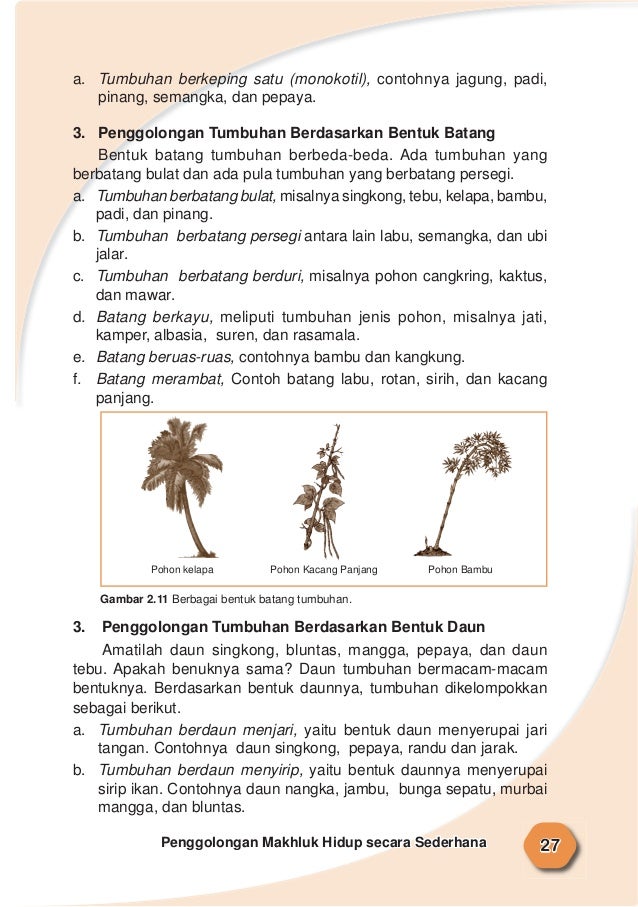Ilmu Pengetahuan Alam 44412932