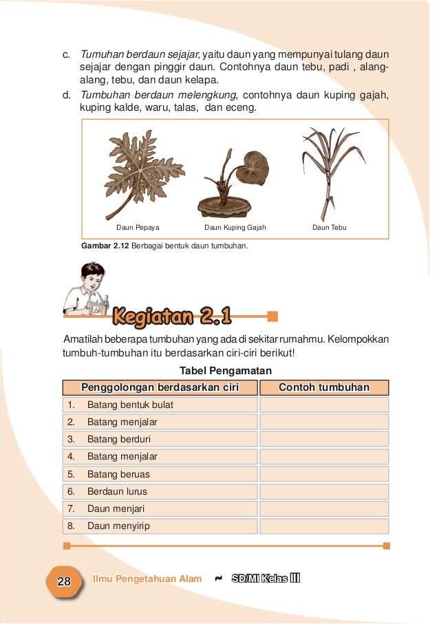 Ilmu Pengetahuan Alam 44412932