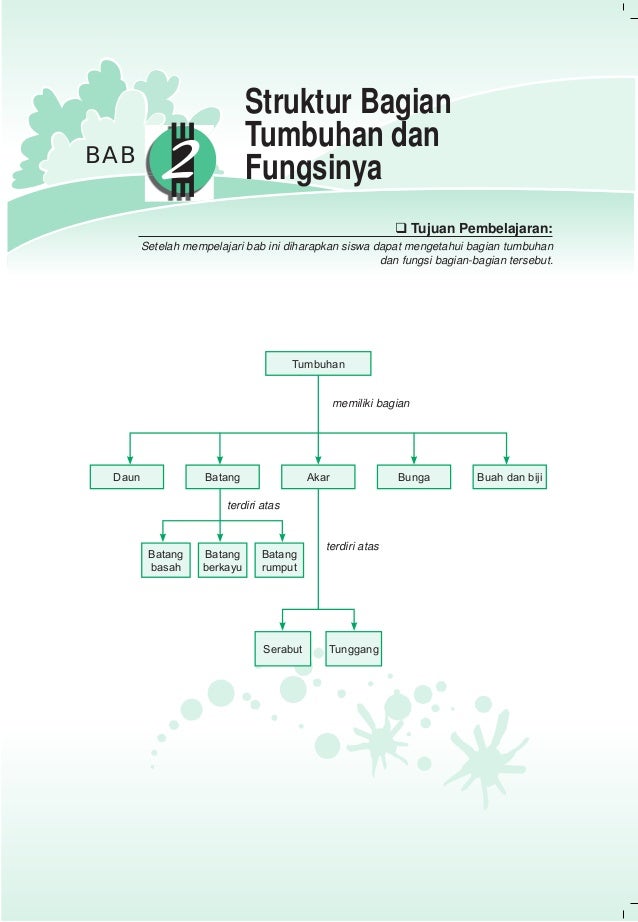 Ilmu Pengetahuan Alam 44731659