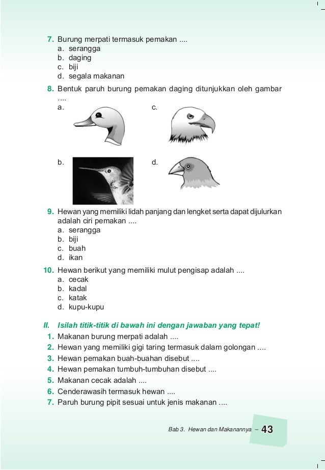 Ilmu Pengetahuan Alam 44731659