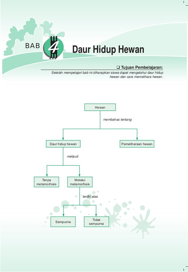43++ Buatlah urutan tahapan daur hidup hewan nyamuk apa tahapan daur hidup yang merugikan manusia mengapa terbaru