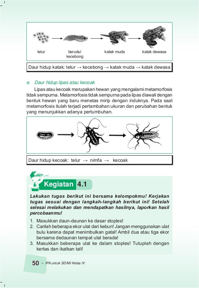 Ilmu Pengetahuan Alam
