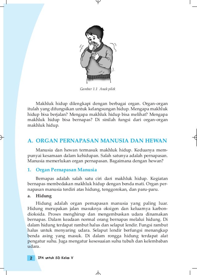 Vmj7yawrrojekm Vmj7yawrrojekm