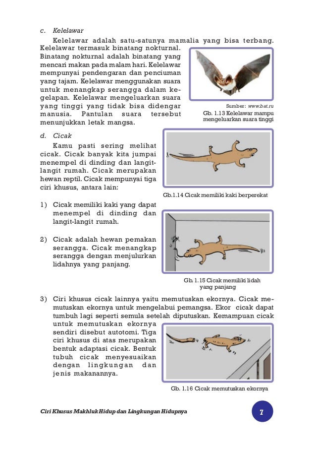 Ilmu pengetahuan alam Ilmu pengetahuan alam