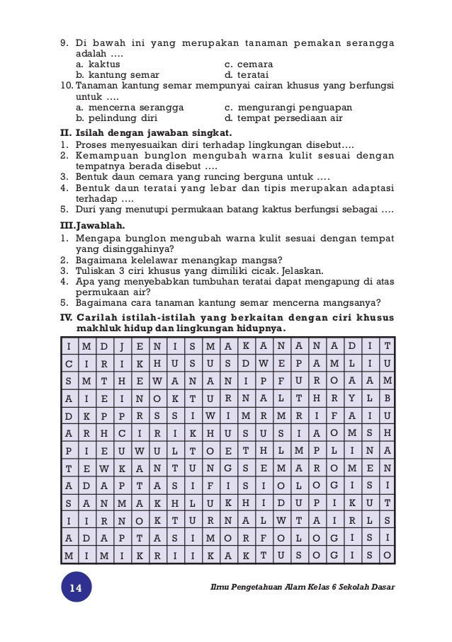 Ilmu Pengetahuan Alam 45263578