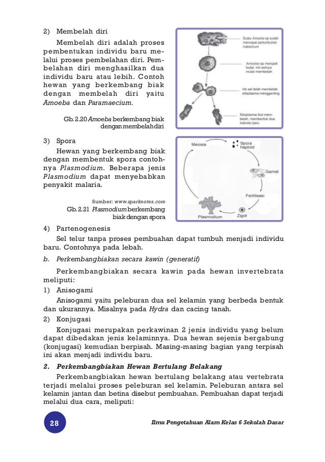 Ilmu Pengetahuan Alam 45263578