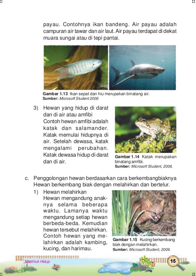 Ilmu pengetahuan alam kelas 3