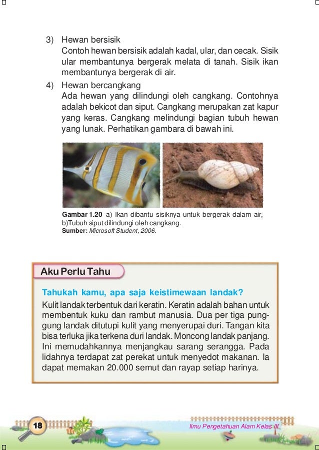 Ilmu pengetahuan alam kelas 3