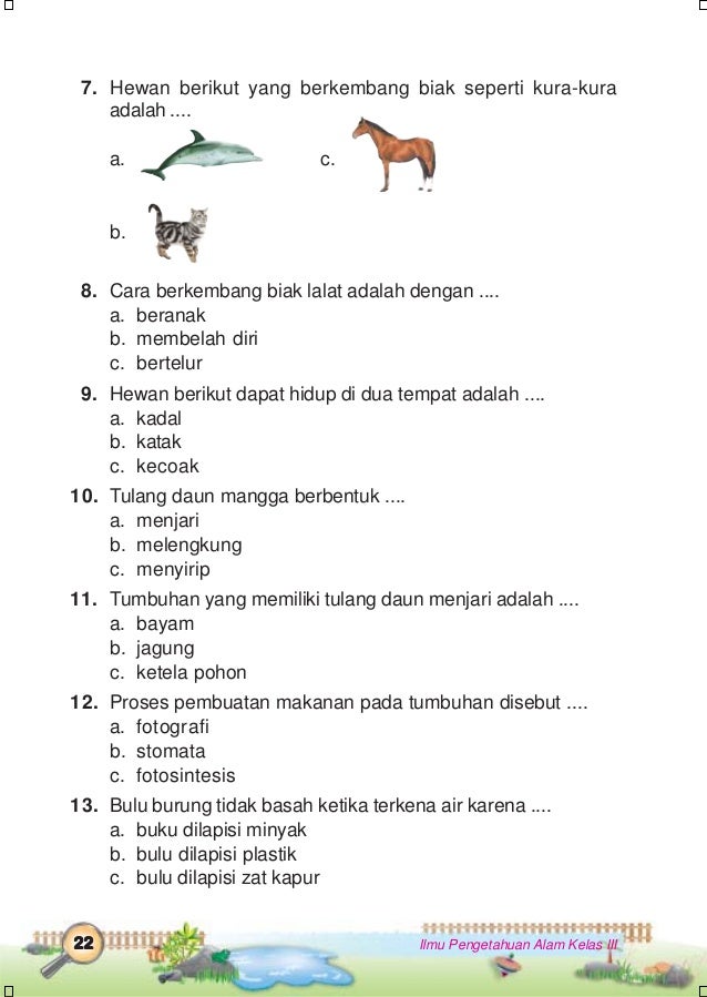 Ilmu pengetahuan alam kelas 3
