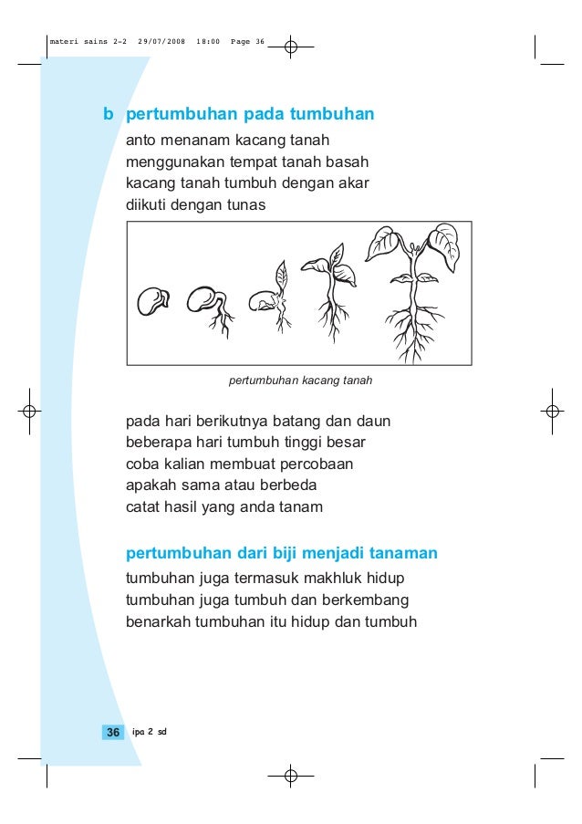 Ilmu Pengetahuan Alam