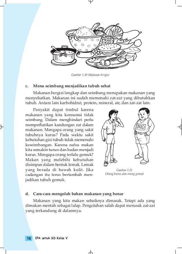 Ilmu Pengetahuan Kelas 5