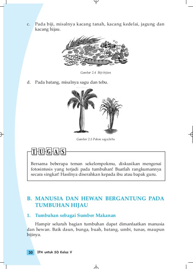 ILMU PENGETAHUAN KELAS 5 ILMU PENGETAHUAN KELAS 5