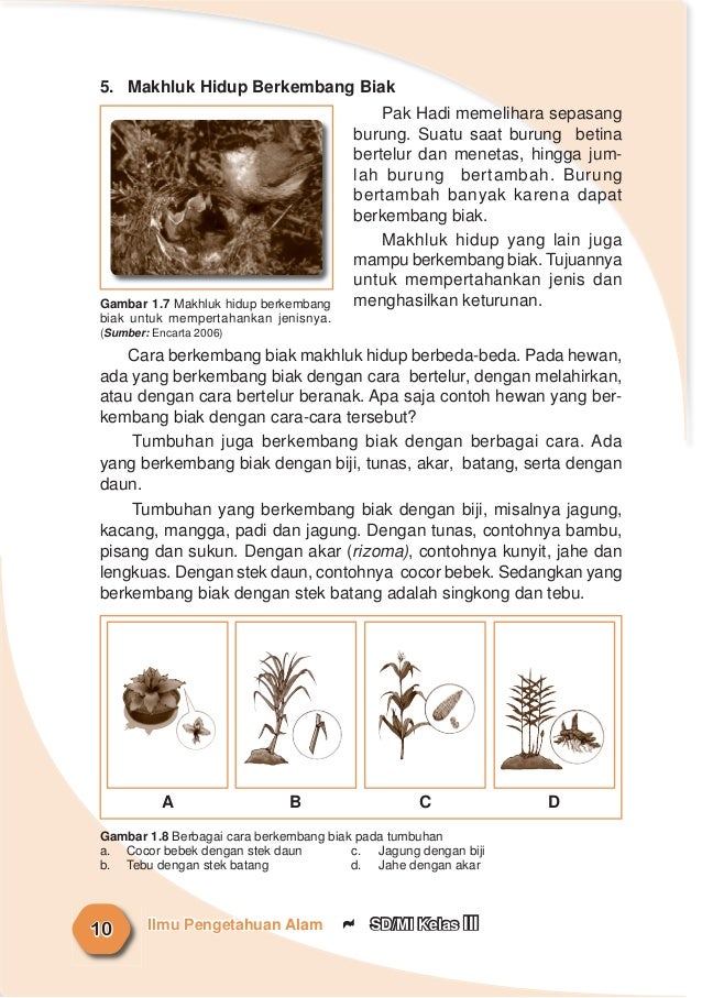 Ilmu pengetahuan alam