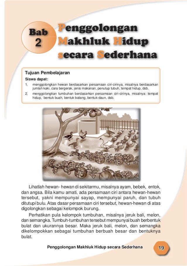 7+ [ Bab Iii Penggolongan Hewan Berdasarkan Jenis 