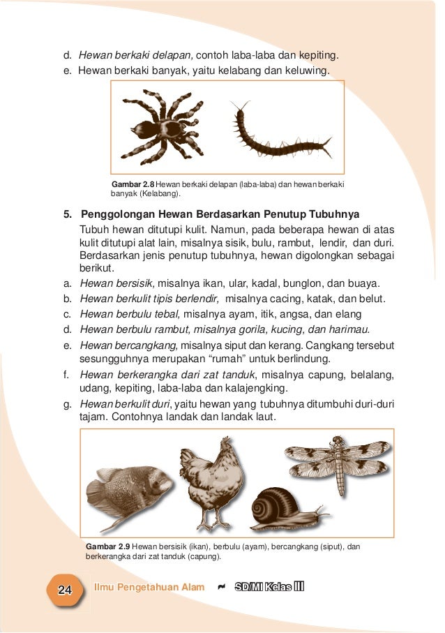 Ilmu Pengetahuan Alam 48687518