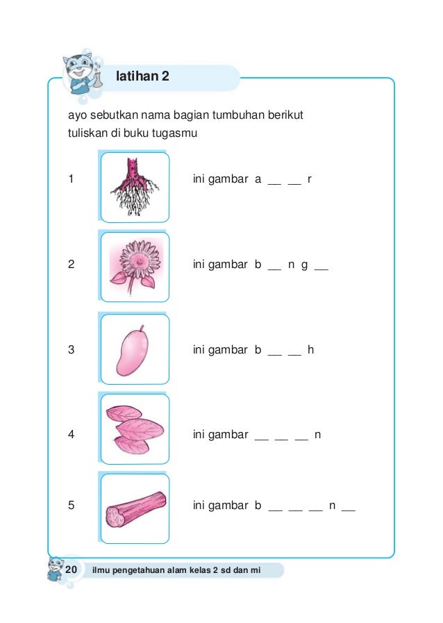 Ilmu pengetahuan alam 2