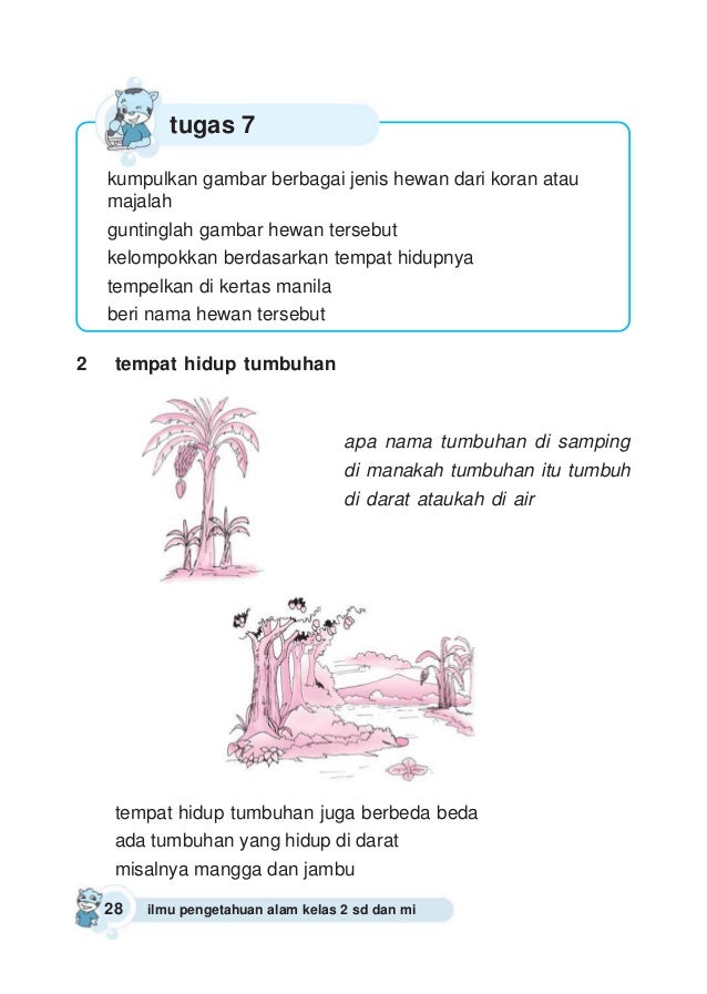 Ilmu pengetahuan alam 2